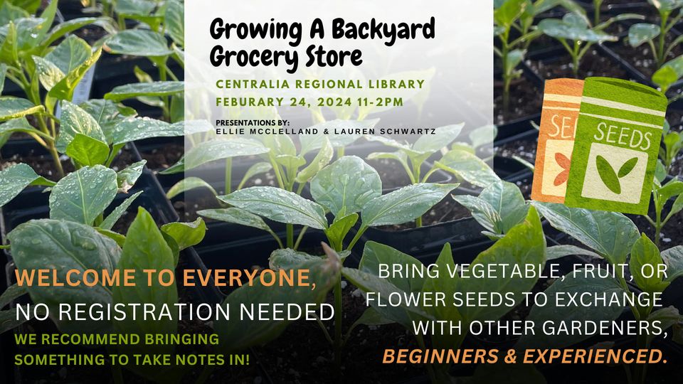 A graphic that says "Growing a Backyard Grocery Store. Centralia Regional Library February 24, 2024 11-2PM. Presentation by: Ellie McClelland and Lauren Schwartz. Welcome to everyone, no registration needed. We recommend bringing something to take notes in! Bring vegetable, fruit, or flower seeds to exchange with other gardeners, beginners and experienced."