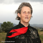 A portrait of Doctor Temple Grandin.